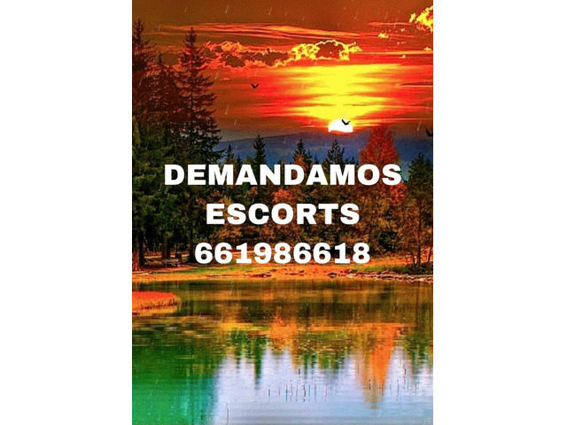 TURNO DE DIA SIN ALOJAMIENTO.