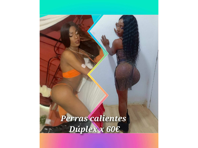 DUPLEX CON PERRITAS ARDIENTES X 60€