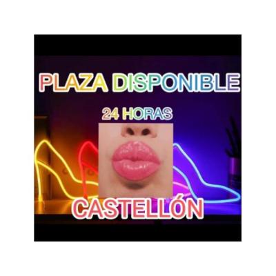 PLAZA LIBRE EN CASTELLÓN, CLIENTELA FIJA.