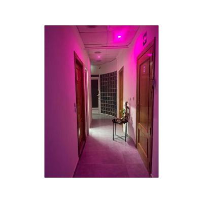 PLAZA DISPONIBLE CON ALTOS INGRESOS EN ALZIRA
