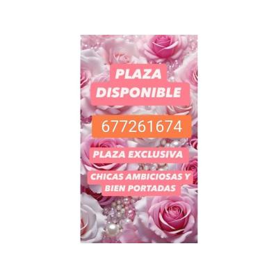 PLAZA LIBRE EN PRIMADO REIG