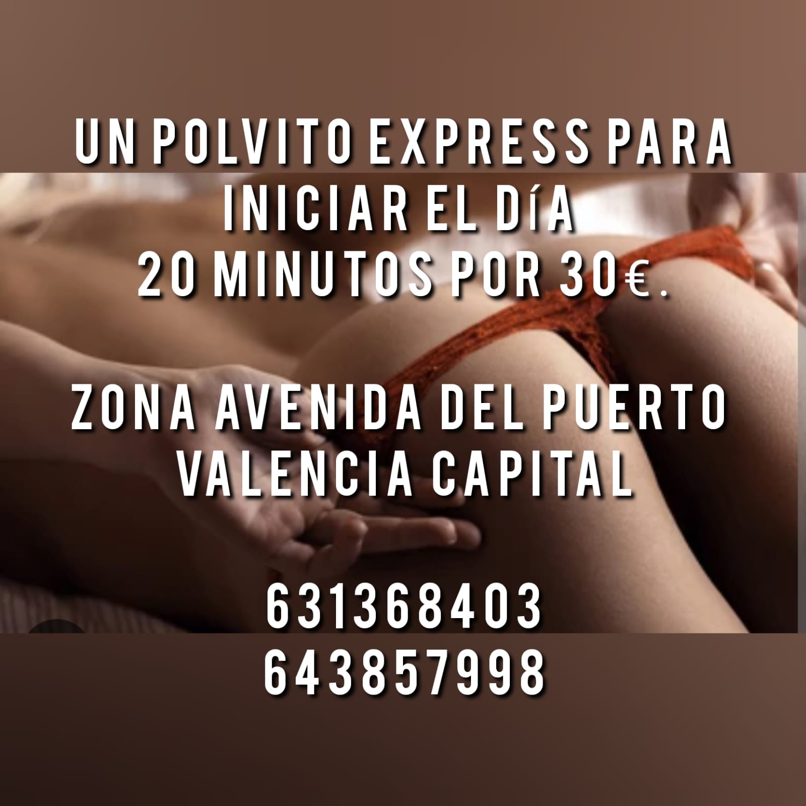 POLVO