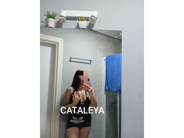 EN GARRUCHA