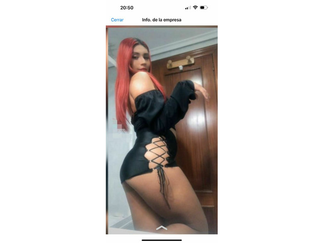 TRANS CON 20CM PARA ROMPERTELO DE PLACER