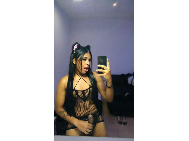 VERGA DURA ATREVIDA MUY CALIENTE